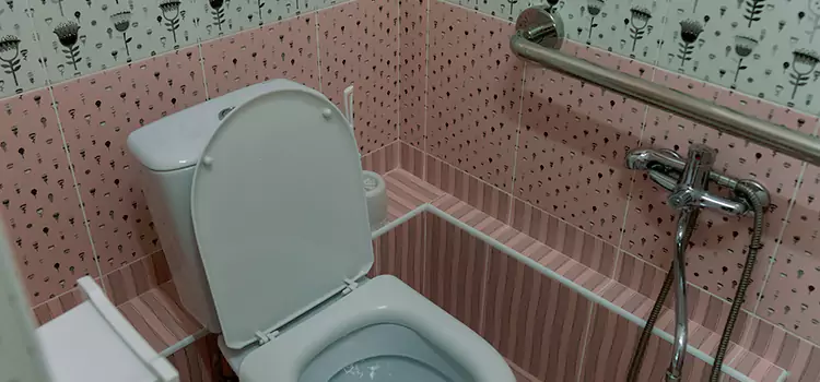Meeting Diverse Needs With Accessible Restroom Solutions in Faribault, MN